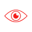 Vision Icon